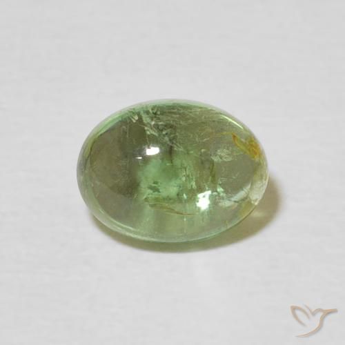 1.51ct Natural Verde médio Turmalina, oval, Transparente