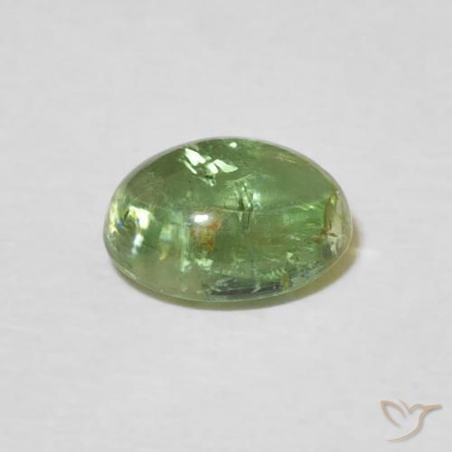 Turmalina Verde médio Natural 1.51ct, oval, Transparente