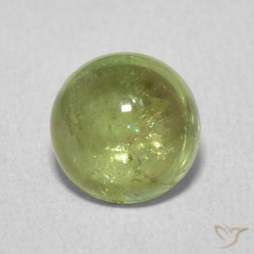 1.61ct Natural Verde oliva Turmalina, Redondo, Transparente