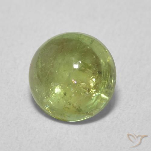 Turmalina Verde oliva Natural 1.61ct, Redondo, Transparente