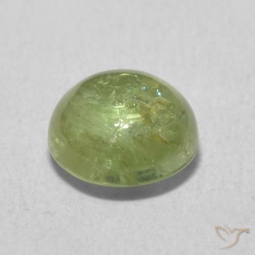 Turmalina Verde oliva Natural 1.61ct, Redondo, Transparente