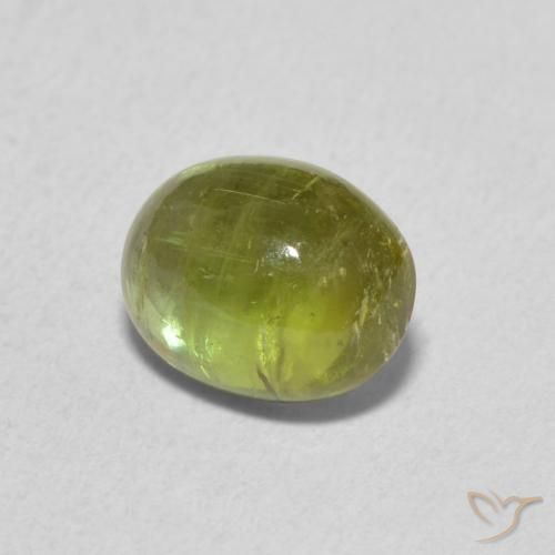 Turmalina Verde Floresta Claro Natural 1.39ct, oval, Transparente