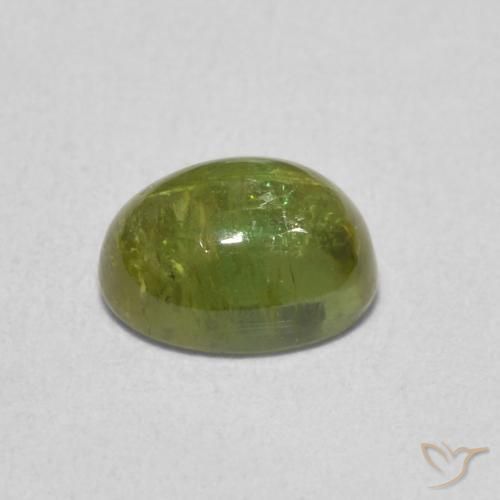 Turmalina Verde Floresta Claro Natural 1.39ct, oval, Transparente