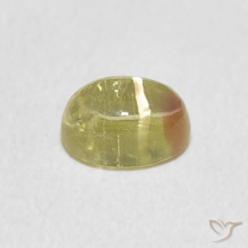 Turmalina bicolor Natural 0.96ct, oval, Transparente