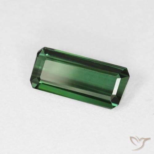 Turmalina Verde floresta Natural 1.56ct, Corte Octógono / Esmeralda, VVS-VS