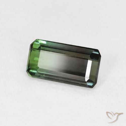 Turmalina Verde floresta Natural 0.89ct, Corte Octógono / Esmeralda, VS