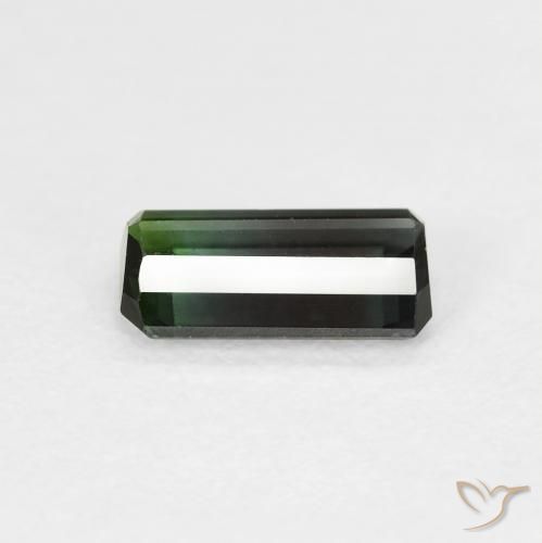 Turmalina Verde floresta Natural 0.89ct, Corte Octógono / Esmeralda, VS
