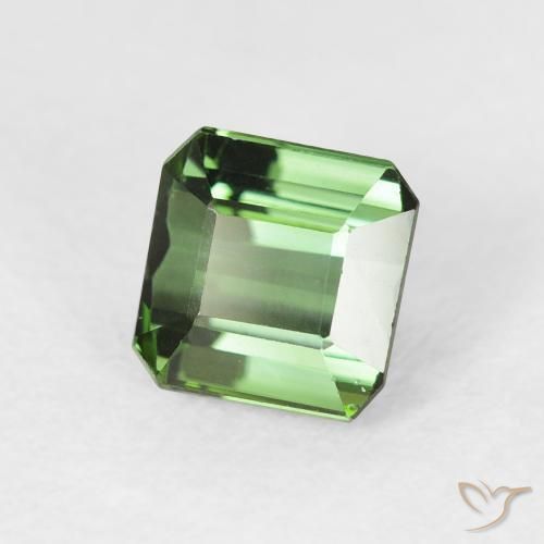 Turmalina Verde floresta Natural 1.42ct, Corte Octógono / Esmeralda, VVS