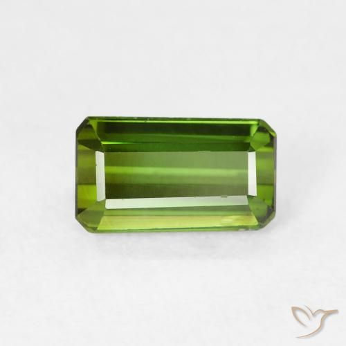 1.03ct Natural Verde floresta Turmalina, Corte Esmeralda, VVS-VS