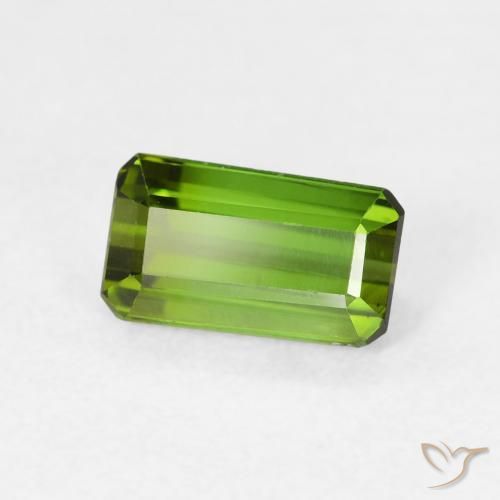 Turmalina Verde floresta Natural 1.03ct, Corte Octógono / Esmeralda, VVS-VS