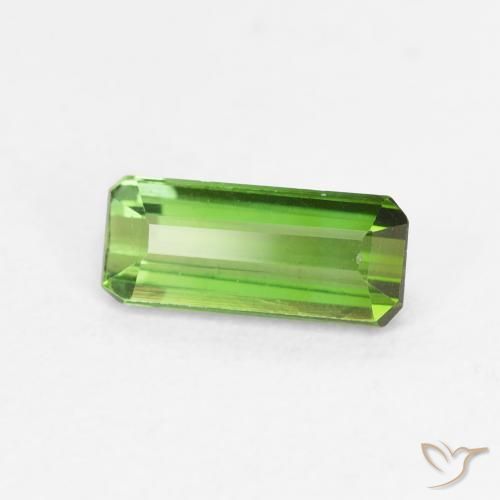 Turmalina Verde floresta Natural 0.63ct, Corte Octógono / Esmeralda, VVS-VS
