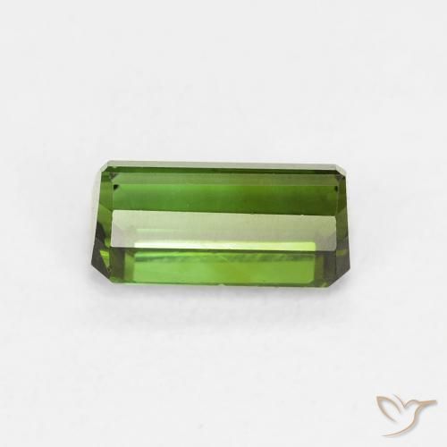 Turmalina Verde floresta Natural 0.68ct, Corte Octógono / Esmeralda, VVS-VS