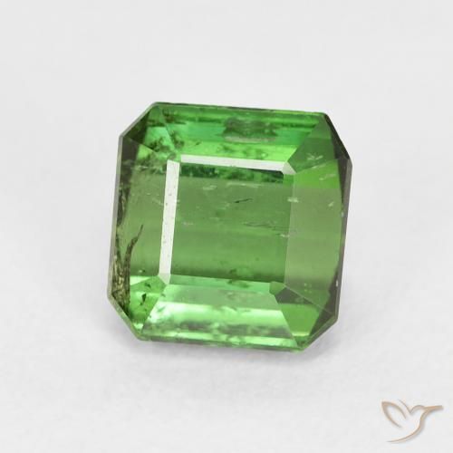 Turmalina Verde floresta Natural 1.71ct, Corte Octógono / Esmeralda, VS-SI