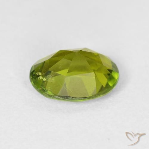 Turmalina Verde Floresta Quente Natural 1.49ct, oval, VS