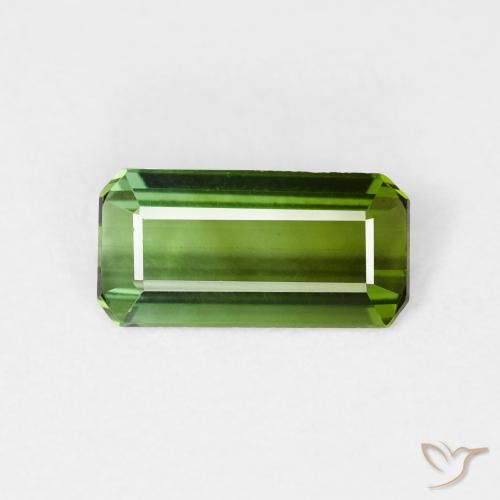0.99ct Natural Verde floresta Turmalina, Corte Esmeralda, VVS-VS