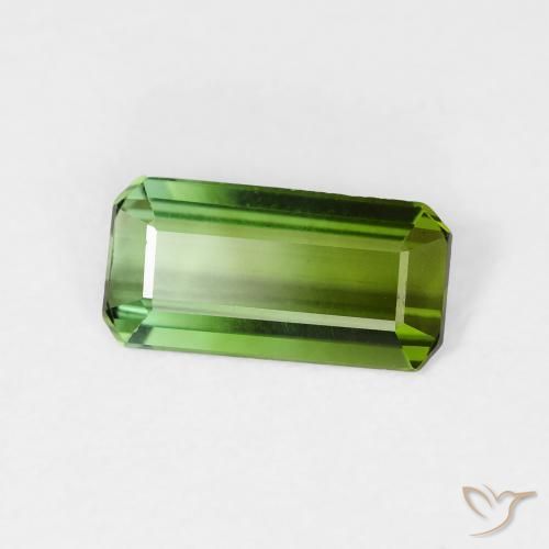Turmalina Verde floresta Natural 0.99ct, Corte Octógono / Esmeralda, VVS-VS