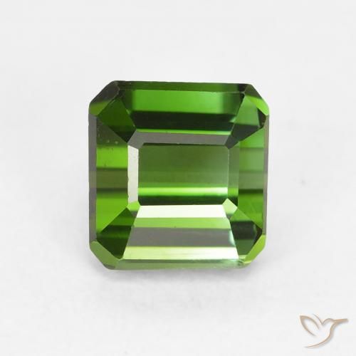 1.10ct Natural Verde floresta Turmalina, Corte Esmeralda, VVS