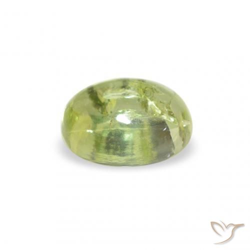 Turmalina verde quente Natural 0.77ct, oval, Transparente
