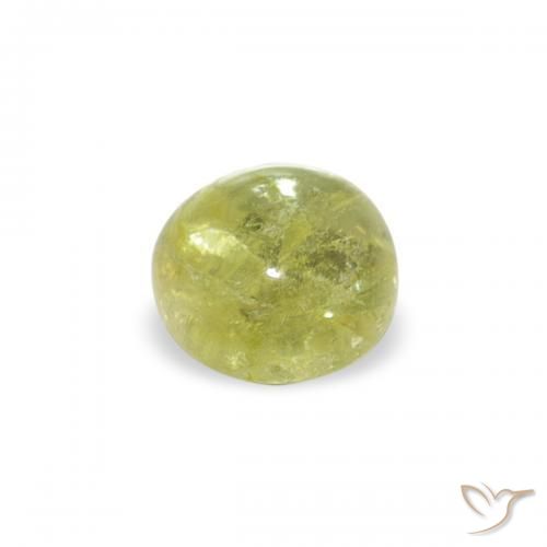 Turmalina Verde amarelado Natural 0.59ct, Redondo, Transparente