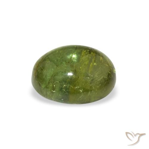 Turmalina Verde médio Natural 1.45ct, oval, Transparente