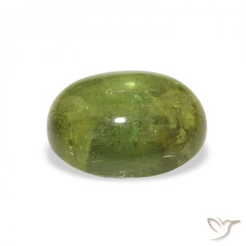 Turmalina Verde floresta Natural 1.89ct, oval, Transparente