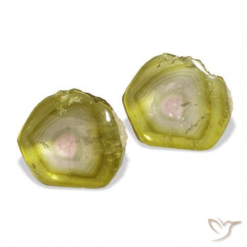 Pedras preciosas de Turmalina Melancia natural de 7.05 ct, Chique, Transparente