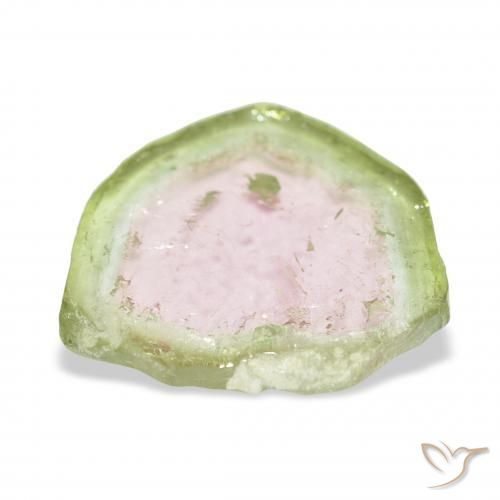 Turmalina bicolor Natural 8.09ct, Chique, Transparente