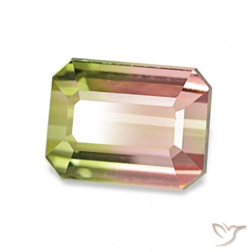 Turmalina Melancia Natural 1.55ct, Corte Octógono / Esmeralda, VVS-VS