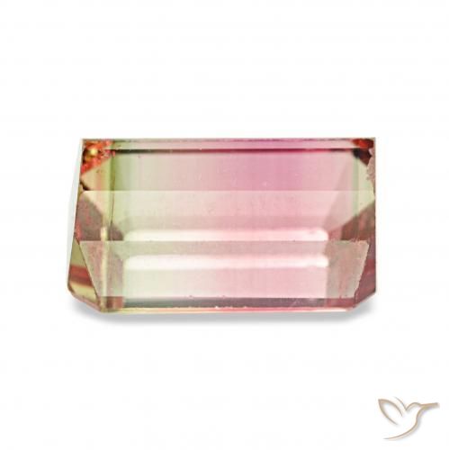Turmalina Melancia Natural 1.73ct, Corte Octógono / Esmeralda, VVS-VS