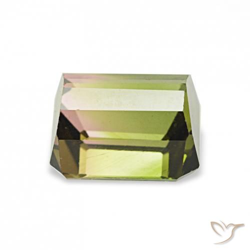 Turmalina Melancia Natural 1.26ct, Corte Octógono / Esmeralda, VVS
