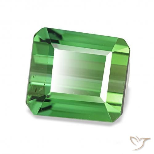 Turmalina Verde médio Natural 1.61ct, Corte Octógono / Esmeralda, VVS-VS