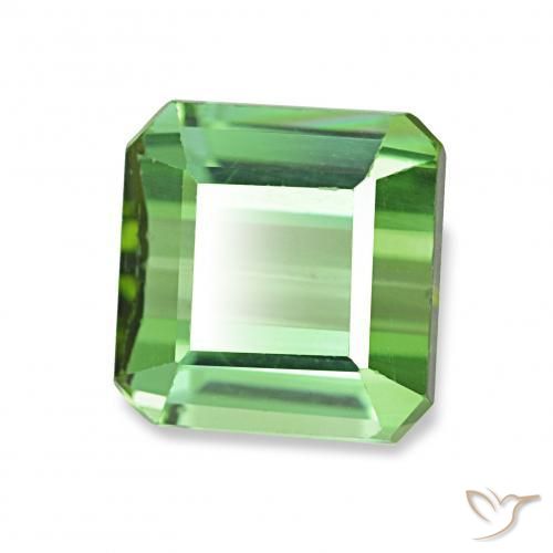 Turmalina Verde Natural 1.61ct, Corte Octógono / Esmeralda, VVS-VS