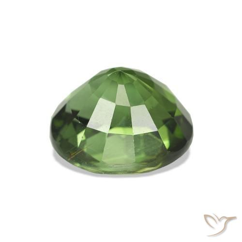 Turmalina verde escuro Natural 1.56ct, oval, VVS-VS