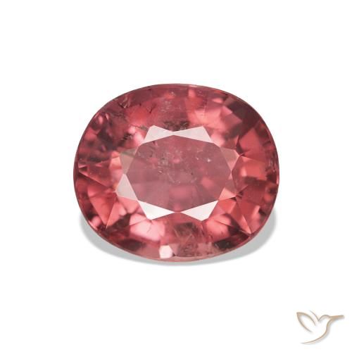 Turmalina Vermelho Escarlate Claro Natural 1.51ct, oval, VS-SI