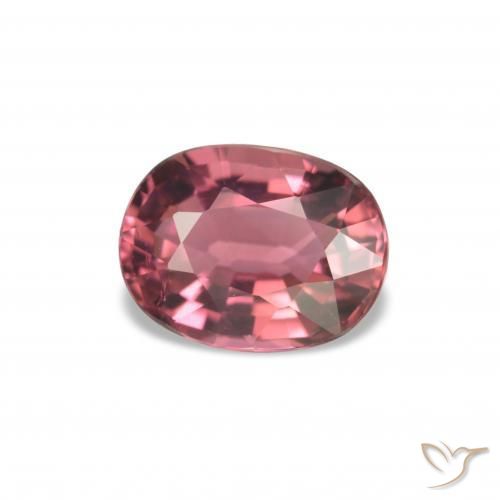 Turmalina rosa avermelhado Natural 1.52ct, Corte Oval, VVS