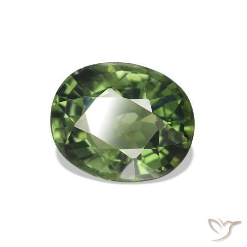 Turmalina Verde escuro Natural 1.55ct, oval, VS