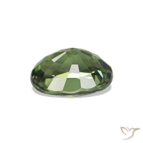 Turmalina Verde escuro Natural 1.55ct, oval, VS