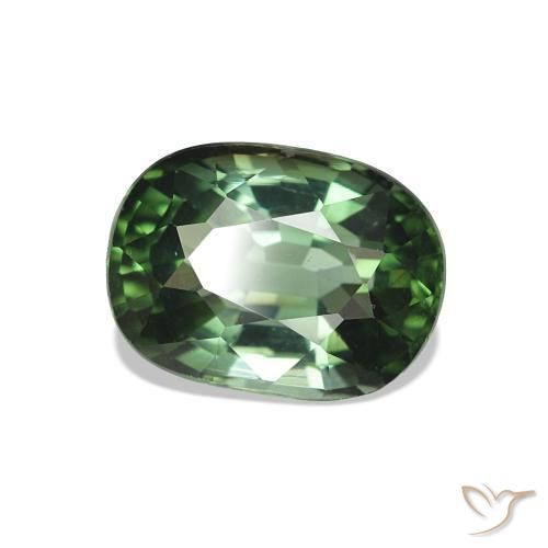 Turmalina Verde escuro Natural 1.66ct, oval, VVS