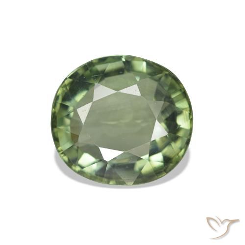 1.57ct Verde Floresta Claro Turmalina, oval, VVS