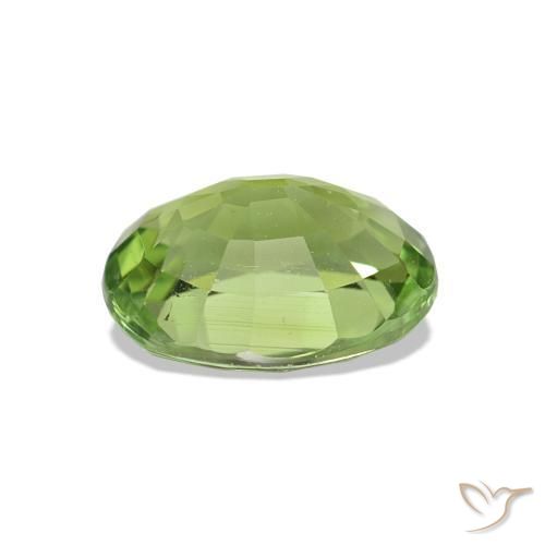 Turmalina Verde médio Natural 1.47ct, Corte Oval, VS