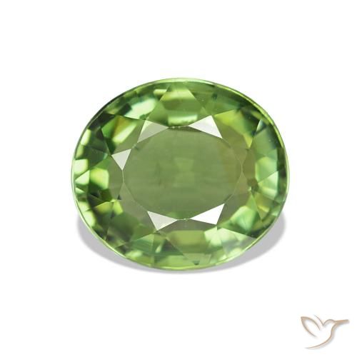 Turmalina Verde médio Natural 1.42ct, Corte Oval, VVS