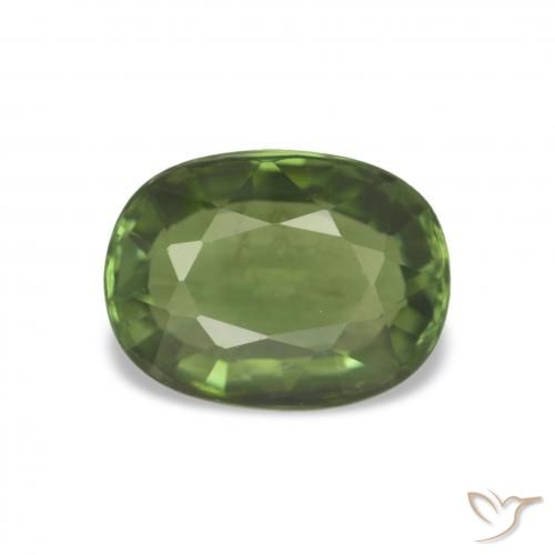 1.44ct Verde floresta Turmalina, Almofada, VVS-VS