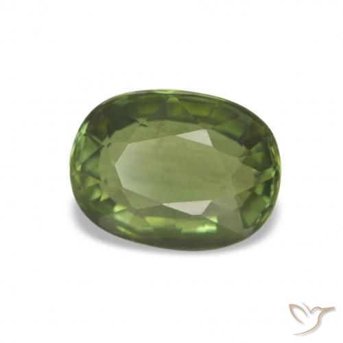 Turmalina Verde floresta Natural 1.44ct, Almofada cortada, VVS-VS