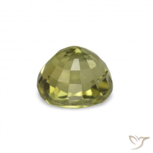 Turmalina Verde Floresta Quente Natural 1.47ct, Corte Oval, VVS-VS