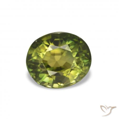 1.58ct Medium Dark-Green Turmalina, oval, VVS-VS