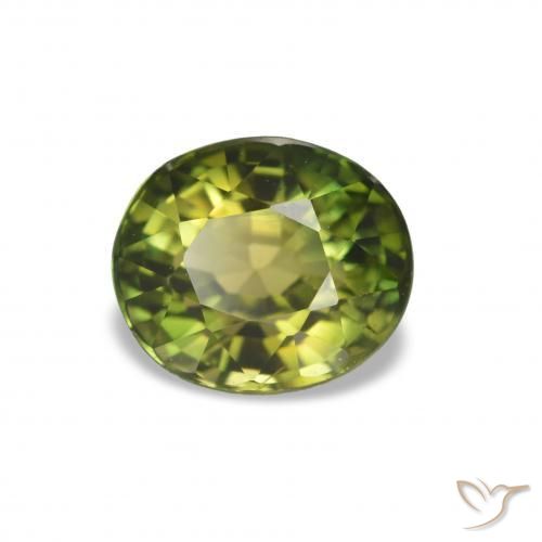 Turmalina Medium Dark-Green Natural 1.58ct, Corte Oval, VVS-VS