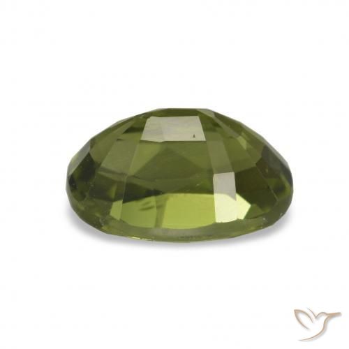 Turmalina Verde Floresta Quente Natural 1.66ct, Corte Oval, VVS-VS