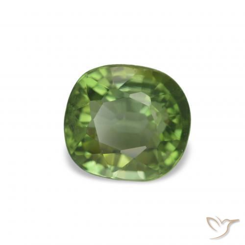 Turmalina Verde médio Natural 1.51ct, Almofada cortada, VVS-VS