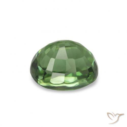 Turmalina verde escuro Natural 1.40ct, Corte Oval, VVS-VS