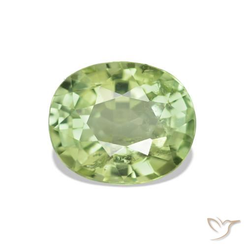 Turmalina Verde floresta Natural 1.73ct, Corte Oval, VS-SI